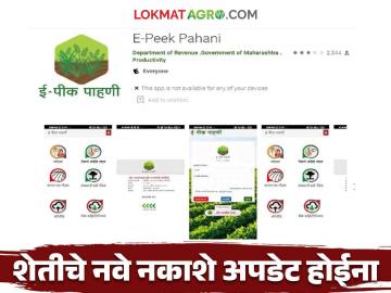 E-pik pahani Issue : हजारो शेतकऱ्यांची ई-पीक नोंदणीच होईना; प्रशासनाकडे तक्रार काय आहे प्रकरण वाचा सविस्तर - Marathi News | E-pik Pahani Issue: E-pik registration of thousands of farmers is not possible; What is the complaint with the administration? Read the e-Peak registration case in detail | Latest News at Lokmat.com E-pik pahani Issue : हजारो शेतकऱ्यांची ई-पीक नोंदणीच होईना; प्रशासनाकडे तक्रार काय आहे प्रकरण वाचा सविस्तर - Marathi News | E-pik Pahani Issue: E-pik registration of thousands of farmers is not possible; What is the complaint with the administration? Read the e-Peak registration case in detail | Latest News at Lokmat.com