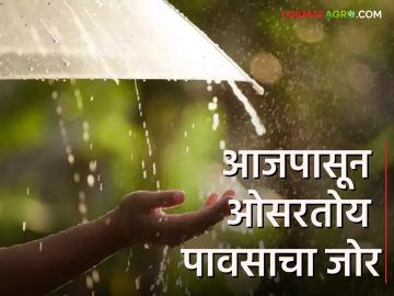 Rain Updates : आजपासून राज्यात पावसाची तीव्रता कमी! अनेक ठिकाणी पुरेसा पाऊसच नाही - Marathi News | Rain Updates: From today the intensity of rain in the state will decrease! There is not enough rain in many places | Latest agriculture News at Lokmat.com Rain Updates : आजपासून राज्यात पावसाची तीव्रता कमी! अनेक ठिकाणी पुरेसा पाऊसच नाही - Marathi News | Rain Updates: From today the intensity of rain in the state will decrease! There is not enough rain in many places | Latest agriculture News at Lokmat.com