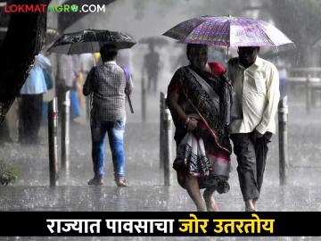 Rain Alert: विदर्भात वादळी वाऱ्यांसह पावसाची शक्यता, उर्वरित राज्यात.... - Marathi News | Rain Alert: Chance of rain with gale force winds in Vidarbha, rest of the state... | Latest News at Lokmat.com