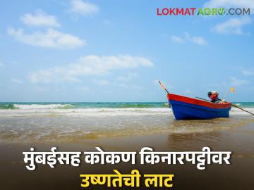heatwave alert: मुंबई ठाण्यासह कोकण किनारपट्टीवर उष्ण तापमानाचा इशारा, पुढील ५ दिवस.... - Marathi News | heatwave alert: Heat wave alert for Konkan coast including Mumbai Thane, next 5 days.... | Latest News at Lokmat.com