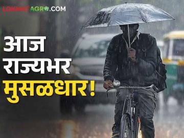 Rain Maharashtra Update: आज राज्यभर मुसळधार! हे पाच जिल्हे वगळता राज्यात वादळी पावसाचा यलो अलर्ट - Marathi News | Rain Maharashtra Update: Heavy rain across the state today! Yellow alert of stormy rain in the state except these five districts | Latest News at Lokmat.com