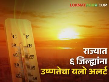 Heat wave alert: आज राज्यात ६ जिल्ह्यांना उष्णतेचा यलो अलर्ट, हवामान विभागाचा अंदाज - Marathi News | Heat wave alert: Yellow heat alert for 6 districts in the state today, Met department forecast | Latest News at Lokmat.com