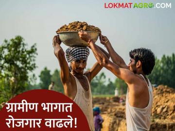 Employment : ग्रामीण भागात बेरोजगारीचा दर 5.3% वरून घसरून 2.5% वर; रोजगार वाढला - Marathi News | Employment Unemployment rate in rural areas drops from 5.3% to 2.5% employment increases | Latest agriculture News at Lokmat.com Employment : ग्रामीण भागात बेरोजगारीचा दर 5.3% वरून घसरून 2.5% वर; रोजगार वाढला - Marathi News | Employment Unemployment rate in rural areas drops from 5.3% to 2.5% employment increases | Latest agriculture News at Lokmat.com