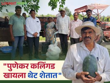 Farmer : शेतातच उभी केली विक्री व्यवस्था! थेट ग्राहकांना माल विकून वर्षाकाठी 25 लाखांचा नफा - Marathi News | Farmer Sales system set up in the field itself! Profit of 25 lakhs per year by selling goods directly to customers | Latest agriculture News at Lokmat.com