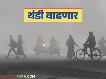 Maharashtra Weather Update : महाराष्ट्रात पुढील दहा दिवस थंडी कशी असेल? जाणून घ्या सविस्तर  - Marathi News | Latest News Maharashtra Weather Update How cold will it be in Maharashtra for the next ten days Know in detail | Latest News at Lokmat.com