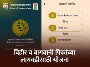 वैयक्तिक विहीर व बागायती लागवड योजनेसाठी कुठे कराल अर्ज? - Marathi News | Where to apply for Individual Well and Horticulture Scheme? | Latest News at Lokmat.com