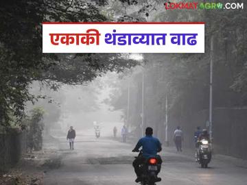 Weather Update : अहिल्यानगर, जळगांव, नाशिक जिल्ह्यात एकाकी थंडाव्यात वाढ, वाचा सविस्तर - Marathi News | Latest News Cold Weather Increase in isolated cold in Ahilyanagar, Jalgaon, Nashik districts | Latest News at Lokmat.com Weather Update : अहिल्यानगर, जळगांव, नाशिक जिल्ह्यात एकाकी थंडाव्यात वाढ, वाचा सविस्तर - Marathi News | Latest News Cold Weather Increase in isolated cold in Ahilyanagar, Jalgaon, Nashik districts | Latest News at Lokmat.com