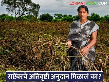 तुमचे सप्टेंबरचे अतिवृष्टी अनुदान आले नसल्यास, फक्त या' गोष्टी करा, अनुदान जमा होईल! - Marathi News | Latest News Important appeal for farmers who have not received September's heavy rainfall subsidy | Latest News at Lokmat.com