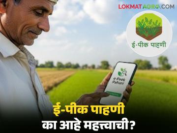 E-Peek Pahani : ई-पीक पाहणी का आहे अत्यंत महत्त्वाची? जाणून घ्या सविस्तर - Marathi News | latest news E-Peek Pahani: Why is e-Peek survey very important? Know in detail | Latest News at Lokmat.com
