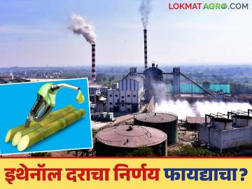 इथेनॉल दराचा निर्णय साखर उद्योगासाठी फायद्याचा की तोट्याचा? 'एफआरपी'च गणित कसं जुळवणार? - Marathi News | Is the ethanol price decision a benefit or a loss for the sugar industry? How will be the 'FRP' given to farmers? | Latest News at Lokmat.com