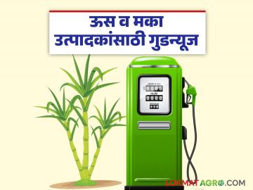 केंद्र सरकारने इथेनॉलबाबत घेतलेल्या 'या' निर्णयामुळे शेतकऱ्यांचे मालाचे सोने होणार; वाचा सविस्तर