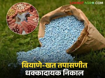 Fake Fertilizer : बियाणे-खतांचे नमुने नापास; अप्रमाणित बियाण्यांवर कारवाई, शेतकऱ्यांना दिलासा वाचा सविस्तर - Marathi News | latest news Fake Fertilizer: Seed-fertilizer samples fail; Action taken against uncertified seeds, relief to farmers Read in detail | Latest News at Lokmat.com