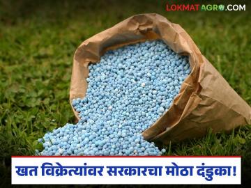 Fake Fertilizer : शेतकऱ्यांची फसवणूक महागात; खत विक्रेत्यांवर ६ महिन्यांची निलंबन कारवाई - Marathi News | latest news Fake Fertilizer: Farmers' fraud is costly; 6-month suspension action against fertilizer sellers | Latest News at Lokmat.com
