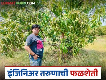 Farmer Success Story : बीई मेकॅनिकल तरुणाला ऐनवेळी कंपनी विकावी लागली, आता सहा एकरावर यशस्वी फळशेती! - Marathi News | Latest News Farmer Success story production of five to six lakh rupees by fruit farming to be mechanical farmer | Latest News at Lokmat.com