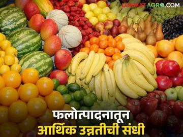 National Horticultural: राष्ट्रीय फलोत्पादन अभियानातून राज्यातील शेतकऱ्यांना कसा होईल फायदा वाचा सविस्तर - Marathi News | National Horticultural: latest news Read in detail how the farmers of the state will benefit from the National Horticulture Mission | Latest News at Lokmat.com