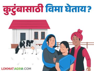 कुटुंबासाठी विमा घेण्यापूर्वी ह्या महत्वाच्या गोष्टी माहिती असणे आवश्यक; वाचा सविस्तर - Marathi News | Before buying insurance for the family, these important things must be known; Read in detail | Latest News at Lokmat.com