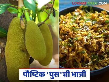 कोकणात पौष महिन्यात फणसापासून बनवली जाणारी 'ही' भाजी आहे अत्यंत पॉप्युलर - Marathi News | This vegetable made from jackfruit is very popular in Konkan during the month of Paush | Latest News at Lokmat.com कोकणात पौष महिन्यात फणसापासून बनवली जाणारी 'ही' भाजी आहे अत्यंत पॉप्युलर - Marathi News | This vegetable made from jackfruit is very popular in Konkan during the month of Paush | Latest News at Lokmat.com