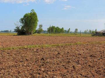 तुमच्या सातबाऱ्यावर चूक झाली आहे का? दुरुस्तीसाठी लगेच करा ऑनलाइन अर्ज - Marathi News | Have you made a mistake on your satbara? Apply online for correction immediately | Latest News at Lokmat.com