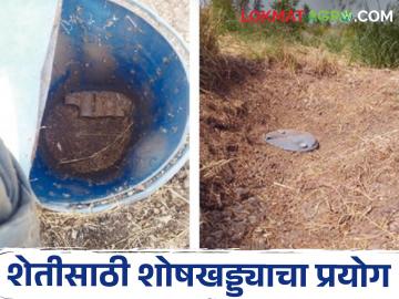 Smart Farming : जळगावच्या शेतकऱ्याचा भन्नाट प्रयोग, शोषखड्ड्याच्या पाण्यावर पिकवली शेती! वाचा सविस्तर - Marathi News | Latest News farmer of Jalgaon has grown agriculture on water reservoir of soak pit | Latest News at Lokmat.com Smart Farming : जळगावच्या शेतकऱ्याचा भन्नाट प्रयोग, शोषखड्ड्याच्या पाण्यावर पिकवली शेती! वाचा सविस्तर - Marathi News | Latest News farmer of Jalgaon has grown agriculture on water reservoir of soak pit | Latest News at Lokmat.com