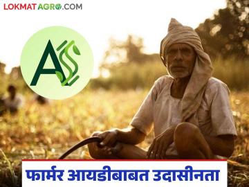 Farmar id : नाशिक जिल्ह्यातील शेतकरी फार्मर आयडीबाबत उदासीन, केवळ 'इतकी' नोंदणी?  - Marathi News | Latest News Agriculture News Only 30 percent of farmers registered for farmer id card in Nashik district | Latest News at Lokmat.com