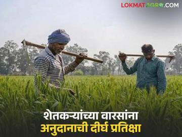 Shetkari Apghat Yojana: 'या' जिल्ह्यात २२३ अपघातग्रस्त शेतकऱ्यांच्या वारसांना आर्थिक मदत कधी मिळणार? वाचा सविस्तर - Marathi News | latest news Shetkari Apghat Yojana: When will the heirs of 223 accident-affected farmers in 'this' district get financial assistance? Read in detail | Latest News at Lokmat.com