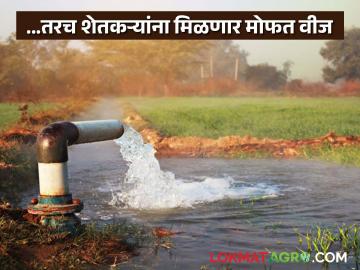 साडेसात एचपीच्या मर्यादेत वीज वापर आणल्यास शेतकऱ्यांना मिळणार 'या' मोफत वीज योजनेचा लाभ - Marathi News | Farmers will get the benefit of this free electricity scheme if they bring their electricity consumption within the limit of 7.5 HP | Latest News at Lokmat.com