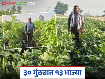 एमटेक झालेल्या युवा शेतकरी अक्षयने ३० गुंठ्यात केली १३ प्रकारच्या भाज्यांची शेती; व्हॉट्सअॅप ग्रुपवरून होतेय विक्री - Marathi News | Young farmer Akshay, who completed MTech, cultivates 13 types of vegetables in 30 guntas; Sales are being done through WhatsApp group | Latest News at Lokmat.com