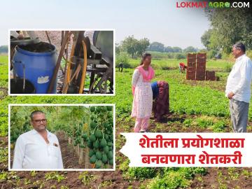 ३० एकरांची शेती केवळ वावर न ठेवता बनवली कृषी प्रयोगशाळा; वाचा प्रयोगशील बाळासाहेबांची यशकथा - Marathi News | 30 acres of farm turned into an agricultural laboratory; Read the success story of experimental Balasaheb | Latest News at Lokmat.com ३० एकरांची शेती केवळ वावर न ठेवता बनवली कृषी प्रयोगशाळा; वाचा प्रयोगशील बाळासाहेबांची यशकथा - Marathi News | 30 acres of farm turned into an agricultural laboratory; Read the success story of experimental Balasaheb | Latest News at Lokmat.com