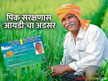 Farmer Unique ID Cards : 'आयडी' नाही, तर मदत नाही; शासनाच्या नव्या नियमाचा काय होईल परिणाम वाचा सविस्तर - Marathi News | latest news Farmer Unique ID Cards: No 'ID', no help; Read in detail what will be the impact of the government's new rule | Latest News at Lokmat.com Farmer Unique ID Cards : 'आयडी' नाही, तर मदत नाही; शासनाच्या नव्या नियमाचा काय होईल परिणाम वाचा सविस्तर - Marathi News | latest news Farmer Unique ID Cards: No 'ID', no help; Read in detail what will be the impact of the government's new rule | Latest News at Lokmat.com