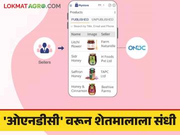 ONDC for Farmer : ओएनडीसी वरून ऑनलाइन शेतमाल विक्रीसाठी शेतकरी कंपन्यांना मोठ्या संधी - Marathi News | ONDC for Farmer : Huge opportunities for farmer companies to sell farm produce online from ONDC | Latest News at Lokmat.com