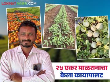 २५ एकर मुरमाड जमिनीत स्वत:चे भाग्य स्वत: उजळवणारा शेतकरी अर्जुन पाटेखेडे; वाचा त्यांची यशकथा - Marathi News | Farmer Arjun Patekhede, who made his own fortune on 25 acres of barren land; Read his success story | Latest News at Lokmat.com २५ एकर मुरमाड जमिनीत स्वत:चे भाग्य स्वत: उजळवणारा शेतकरी अर्जुन पाटेखेडे; वाचा त्यांची यशकथा - Marathi News | Farmer Arjun Patekhede, who made his own fortune on 25 acres of barren land; Read his success story | Latest News at Lokmat.com