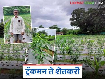 रेल्वेत ट्रॅकमनच्या सेवानिवृत्तीनंतर शंकररावांनी केला बारमाही भाजीपाला शेतीचा यशस्वी प्रयोग - Marathi News | After retiring as a trackman in the railways, Shankarrao successfully experimented with yearly vegetable farming | Latest News at Lokmat.com