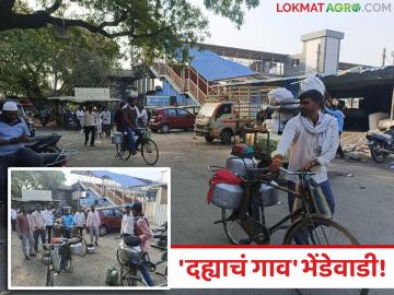 Dairy Farming Success Story : दुधातून उभी केली अर्थव्यवस्था; 'दह्याचं गाव' बनलं भेंडेवाडी, वाचा यशोगाथा - Marathi News | latest news Dairy Farming Success Story: Economy built from milk; Bhendewadi became a 'curd village', read the success story | Latest News at Lokmat.com