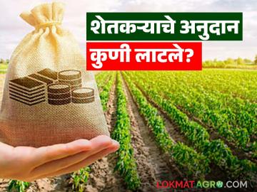 Farmer Subsidy Scam : शेतकऱ्याचे अनुदान गायब; काय आहे प्रकरण वाचा सविस्तर - Marathi News | latest news Farmer Subsidy Scam: Farmer's subsidy disappeared; Read the case in detail | Latest News at Lokmat.com
