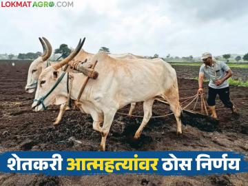 शेतकरी आत्महत्या प्रतिबंधासाठी राज्यस्तरीय टास्क फोर्सची पहिली बैठक झाली; काय झाला निर्णय? - Marathi News | The first meeting of the state-level task force for prevention of farmer suicides was held; what was the decision? | Latest News at Lokmat.com