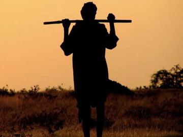 तुमच्या शेतकरी उत्पादक कंपनीसाठी अनुदान हवंय? मग असा करा अर्ज - Marathi News | how to get subsidy for farmer producer company | Latest News at Lokmat.com