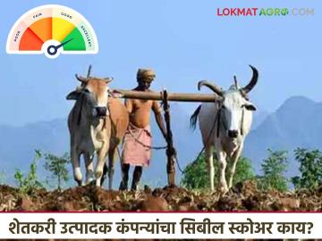 CIBIL Score : शेतकरी उत्पादक कंपन्यांचा सिबील स्कोअर किती? 'या' कारणामुळे प्रकल्प अर्ध्यावर वाचा सविस्तर - Marathi News | CIBIL Score: What is the CIBIL score of farmer producer companies? Projects are half-finished due to 'this' reason Read in detail | Latest News at Lokmat.com