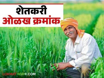 Farmer ID : शेतकरी ओळखपत्र काढलं का? अशी करा नोंदणी, काय होणार फायदा?  - Marathi News | Latest News Farmer ID Has the farmer ID card been issued? Register like this, what will be the benefit?  | Latest News at Lokmat.com