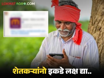 शेतकऱ्यांनो, तुमच्याही व्हाट्सअँपवर 'ती' लिंक आलीय का? लिंक ओपन करू नका, अन्यथा...  - Marathi News | Latest News MahaDBT holders urged to be careful of fraudulent links on whatsapp | Latest News at Lokmat.com