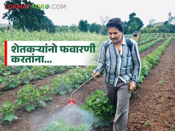 शेतकऱ्यांनो उपाशीपोटी फवारणी केल्यास विषबाधा होऊ शकते, जाणून घ्या कारण - Marathi News | latest News agriculture News Do Not spray on an empty stomach while spraying in farm Read in detail | Latest News at Lokmat.com