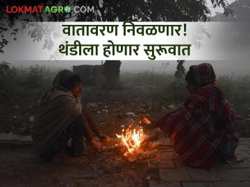 उद्या वातावरण निवळणार! थंडीची लागणार चाहूल - Marathi News | maharashtra weather atmosphere will clear tomorrow Winter will begin | Latest agriculture News at Lokmat.com