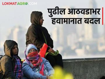 Maharashtra Weather Update : पुढील आठवडाभर थंडी कमी, तापमान वाढणार, नेमका कशाचा परिणाम?  - Marathi News | Latest News maharashtra weather update fenjal cyclone effect Less cold and temperature will rise for next week | Latest News at Lokmat.com