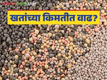 Fertilizer Price : कच्च्या मालाचे दर वाढल्यामुळे रासायनिक खतांच्या दरात वाढ - Marathi News | Fertilizer Price : Increase in prices of chemical fertilizers due to increase in prices of raw materials | Latest News at Lokmat.com