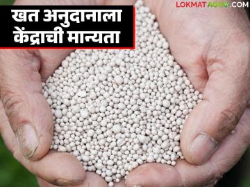 रब्बी हंगामासाठी 'या' खतांवर एनबीएस आधारित अनुदानाला केंद्रीय मंत्रिमंडळाची मान्यता - Marathi News | Union Cabinet approves NBS based subsidy on 'this' fertilizers for Rabi season | Latest News at Lokmat.com रब्बी हंगामासाठी 'या' खतांवर एनबीएस आधारित अनुदानाला केंद्रीय मंत्रिमंडळाची मान्यता - Marathi News | Union Cabinet approves NBS based subsidy on 'this' fertilizers for Rabi season | Latest News at Lokmat.com