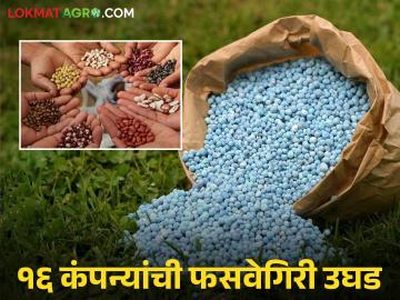 Fake Fertilizer : खरीप हंगामात शेतकऱ्यांची फसवणूक; ३३ नमुने फेल, १६ कंपन्यांवर कारवाई वाचा सविस्तर - Marathi News | latest news Fake Fertilizer: Farmers cheated during Kharif season; 33 samples failed, action taken against 16 companies | Latest News at Lokmat.com
