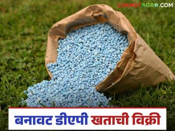 fake DAP fertilizer : शेतकऱ्यांनो सावधान बनावट खत विक्रीचा सुळसुळाट; काय आहे प्रकार वाचा सविस्तर - Marathi News | fake DAP fertilizer: Farmers beware of the scam of selling fake fertilizer; Read in detail what it is | Latest News at Lokmat.com