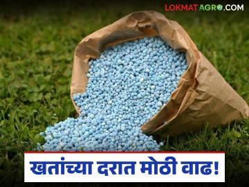 Fertilizer Price Hike : खतांच्या दरात मोठी वाढ; खरीपपूर्वीच शेतकऱ्यांचे गणित बिघडले - Marathi News | latest news Fertilizer Price Hike: Big increase in fertilizer prices! Farmers' calculations went wrong even before Kharif | Latest News at Lokmat.com