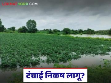 Final Annewari : अतिवृष्टीचा फटका! ‘या’ जिल्ह्याच्या दुष्काळी स्थितीवर शिक्कामोर्तब वाचा सविस्तर - Marathi News | latest news Final Annewari: Heavy rain hits! Read the details of the drought situation in this district | Latest News at Lokmat.com