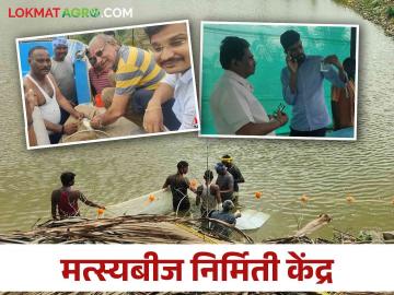 Fish Seed Centre : हिंगोली जिल्ह्यातील शेतकऱ्यांसाठी सुवर्णसंधी, तोंडापूर केव्हीकेत मत्स्यबीज निर्मिती केंद्र - Marathi News | Latest News fish seed production center at Tondapur krushi vidnyan kendra in hingoli | Latest News at Lokmat.com Fish Seed Centre : हिंगोली जिल्ह्यातील शेतकऱ्यांसाठी सुवर्णसंधी, तोंडापूर केव्हीकेत मत्स्यबीज निर्मिती केंद्र - Marathi News | Latest News fish seed production center at Tondapur krushi vidnyan kendra in hingoli | Latest News at Lokmat.com