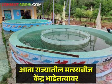 राज्यातील शासकीय मत्स्यबीज केंद्र भाडेतत्वावर, निधीतून उर्वरित केंद्राचे आधुनिकीकरण  - Marathi News | Latest News Government fish seed center in state on lease new gr by maharashtra | Latest News at Lokmat.com